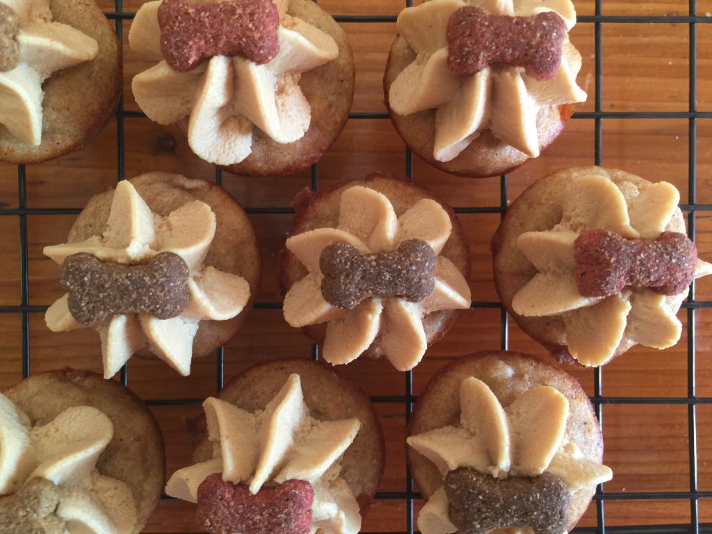 Pupcakes - cupcakes per cani